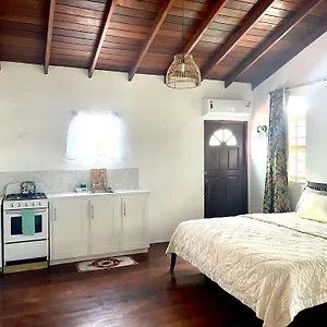 Blr Apartment Christ Church